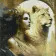 Painting by numbers Strateg   Lioness with a girl 50x50 cm (AA013)