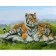 Paint by numbers Strateg PREMIUM A family of tigers on vacation size 40х50 sm (GS053)