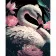 Painting by numbers Strateg PREMIUM Flamingo in Flowers on a black background 40x50 cm (AH1043)