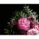 Картина по номерам Strateg ПРЕМИУМ Букет розовых пионов на черном фоне размером 40х50 см (AH1053)