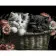 Картина за номерами Strateg ПРЕМІУМ Кошенята у кошику на чорному фоні розміром 40х50 см (AH1056)