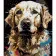 Paint by number Strateg Faithful companion on a black background size 40x50 cm (AH1100)