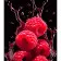 Paint by number Strateg Raspberry and water fantasies on a black background, size 40x50 cm (AH1103)