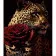 Картина за номерами Strateg ПРЕМІУМ Хижий красень з трояндою на чорному фоні розміром 40х50 см (AH1106)