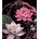 Картина за номерами Strateg ПРЕМІУМ Цвітіння лотоса на чорному фоні розміром 40х50 см (AH1113)