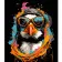 Paint by number Strateg Colored penguin on a black background size 40x50 cm (AH1133)