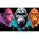 Paint by number Strateg PREMIUM Energy of primates on a black background size 50x25 cm (BH5025-11)