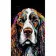 Paint by number Strateg PREMIUM Spaniel in colors on a black background size 50x25 cm (BH5025-8)