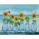 Diamond painting Strateg PREMIUM  Sunflowers in jars size 40х50 sm (D0001)