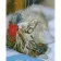 Diamond painting Strateg PREMIUM  A cat with a flower size 40х50 sm (D0007)