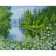 Diamond painting Strateg PREMIUM  Spring meadow size 40х50 sm (D0038)