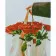 Diamond painting Strateg PREMIUM Roses in a shopper size 40х50 sm (D0049)