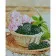 Diamond painting Strateg PREMIUM  A basket of blackberries size 40х50 sm (D0057)