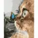 Paint by numbers Strateg PREMIUM Cat with butterfly size 40х50 sm (DY021)