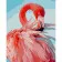 Paint by numbers Strateg PREMIUM Pink flamingo size 40х50 sm (DY066)