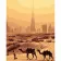 Paint by numbers Strateg PREMIUM Camels in front of Dubai. size 40х50 sm (DY069)