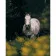 Paint by numbers Strateg PREMIUM Horse among flowers size 40х50 sm (DY105)