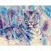 Paint by numbers Strateg PREMIUM Watercolor tiger size 40х50 sm (DY130)