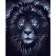 Paint by numbers Strateg PREMIUM Dark lion size 40х50 sm (DY196)