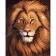 Paint by numbers Strateg PREMIUM Lion smile size 40х50 sm (DY198)