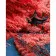 Картина по номерам Strateg ПРЕМИУМ Красные листья Японии размером 40х50 см (DY275)