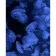 Paint by numbers Strateg PREMIUM Blue jellyfish size 40x50 cm (DY365)