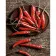 Paint by number Strateg PREMIUM Chili pepper with varnish size 40x50 cm (DY393)