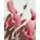 Картина за номерами Strateg ПРЕМІУМ Рожеві колоски з лаком розміром 40х50 см (DY395)