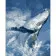 Paint by number Strateg PREMIUM Whale power with varnish size 40x50 cm (DY401)