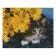 Алмазна мозаїка Преміум Кошеня в жовтих квітах 40х50 см FA10229