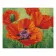 Алмазна мозаїка Преміум Квітучий мак 40х50 см FA11091