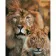 Diamond mosaic Premium FA40014 "Lion family", 40x50 cm