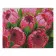 Алмазна мозаїка Преміум Яскраво рожеві протеї 40х50 см FA40114