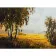 Diamond mosaic Premium FA40190 "Morning in the meadow", 40x50 cm