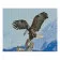 Алмазна мозаїка Преміум Гірський орел 2 40х50 см FA40779