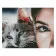 Diamond mosaic Premium FA40838 "Cat-friend", 40x50 cm