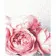 Diamond painting Strateg PREMIUM Pink peonies size 40х50 sm FA40881