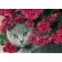 Diamond mosaic Strateg Kitten in flowers, without a subframe 30x40 cm (GD72165)