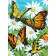 Алмазна мозаїка Strateg ПРЕМІУМ Strateg Метелики в ромашках без підрамника розміром 30х40 см  (GD86103)