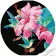 Vinyl by numbers Strateg PREMIUM Hibiscus hummingbird paradise 30x30 cm (GP-8)