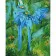 Paint by numbers Strateg PREMIUM Blue parrots size 40х50 sm (GS001)