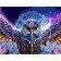 Paint by numbers Strateg PREMIUM Pop Art Owl size 40х50 sm (GS014)