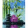 Paint by numbers Strateg PREMIUM Orchid on a stone size 40x50 cm (GS027)