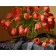 Paint by numbers Strateg PREMIUM Still life with tulips size 40х50 sm (GS050)