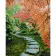 Paint by numbers Strateg PREMIUM Stone path in autumn size 40х50 sm (GS096)