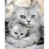 Картина за номерами Strateg ПРЕМІУМ Кішка та кошеня розміром 40х50 см (GS1005)