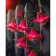 Paint by numbers Strateg PREMIUM Fuchsia flowers size 40x50 cm (GS1015)