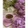 Paint by numbers Strateg PREMIUM Purple hydrangeas with coffee size 40x50 cm (GS1035)