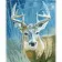 Paint by numbers Strateg PREMIUM Deer in the forest size 40х50 sm (GS106)