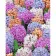 Paint by numbers Strateg PREMIUM Multicolored hyacinths size 40x50 cm (GS1062)